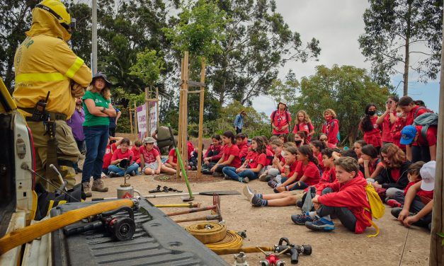 La Laguna reivindica un futuro sostenible con una fiesta del medio ambiente para todas las familias