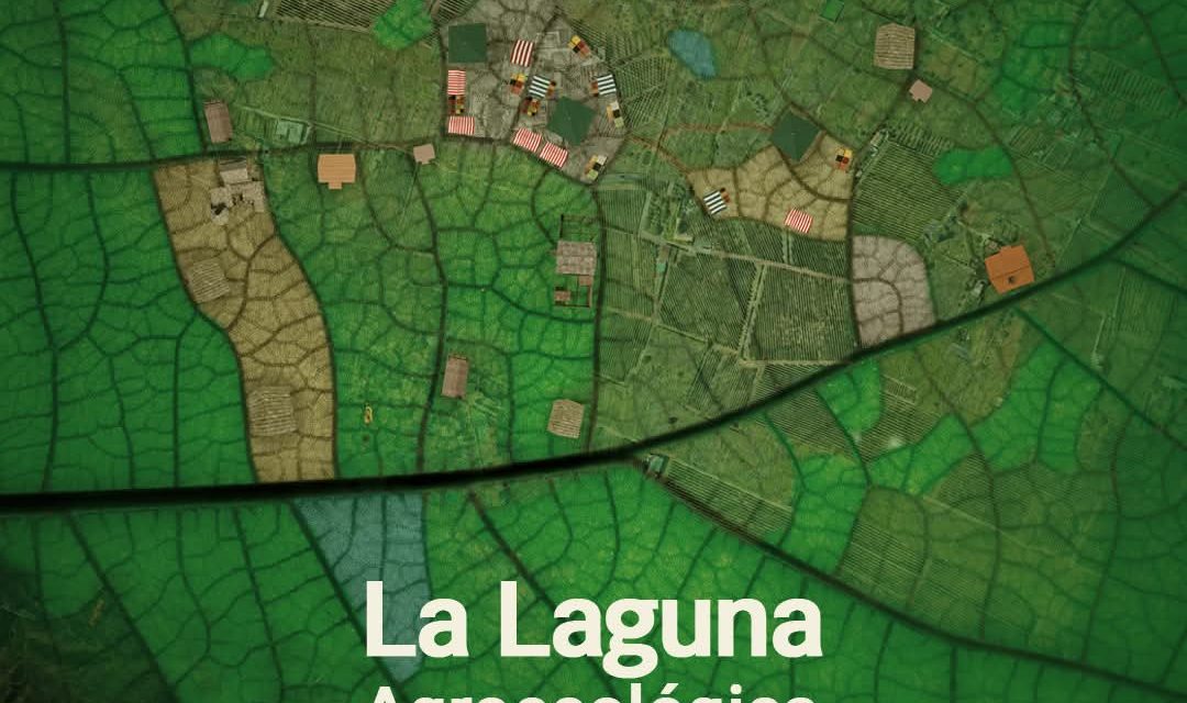 La Laguna promueve la producción sostenible y el consumo local a través de la tercera edición de la Feria de Agroecología