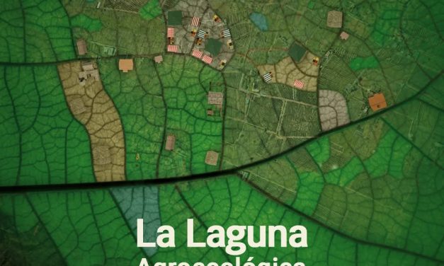 La Laguna promueve la producción sostenible y el consumo local a través de la tercera edición de la Feria de Agroecología