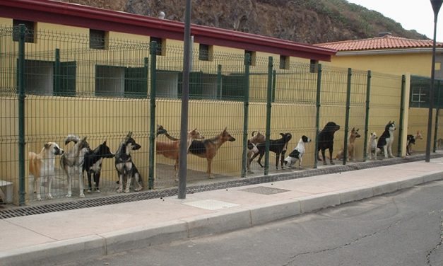 Cuatro ayuntamientos de Tenerife instan al Cabildo a buscar una solución de emergencia para Valle Colino