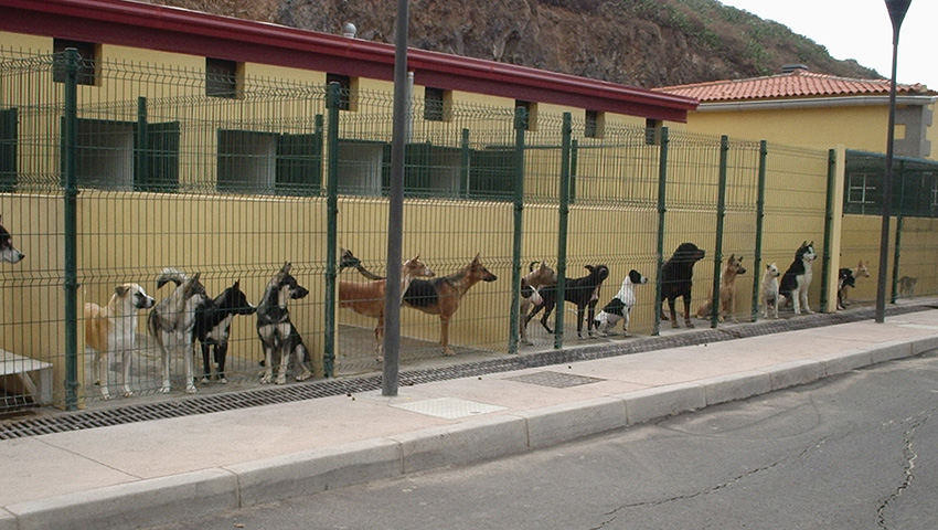 Cuatro ayuntamientos de Tenerife instan al Cabildo a buscar una solución de emergencia para Valle Colino