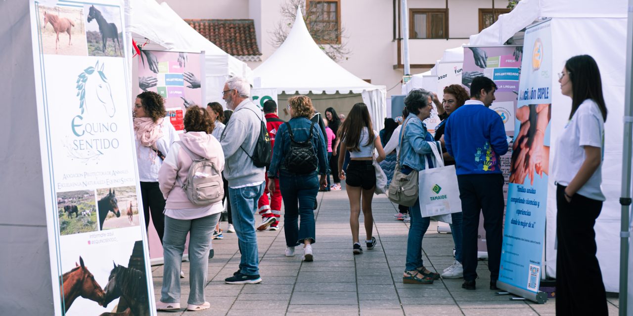 Más de 50 asociaciones participan el próximo sábado en la VIII Feria del Voluntariado en la plaza de la Catedral