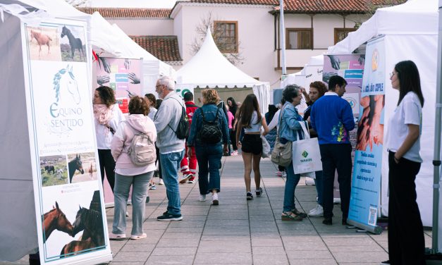 Más de 50 asociaciones participan el próximo sábado en la VIII Feria del Voluntariado en la plaza de la Catedral