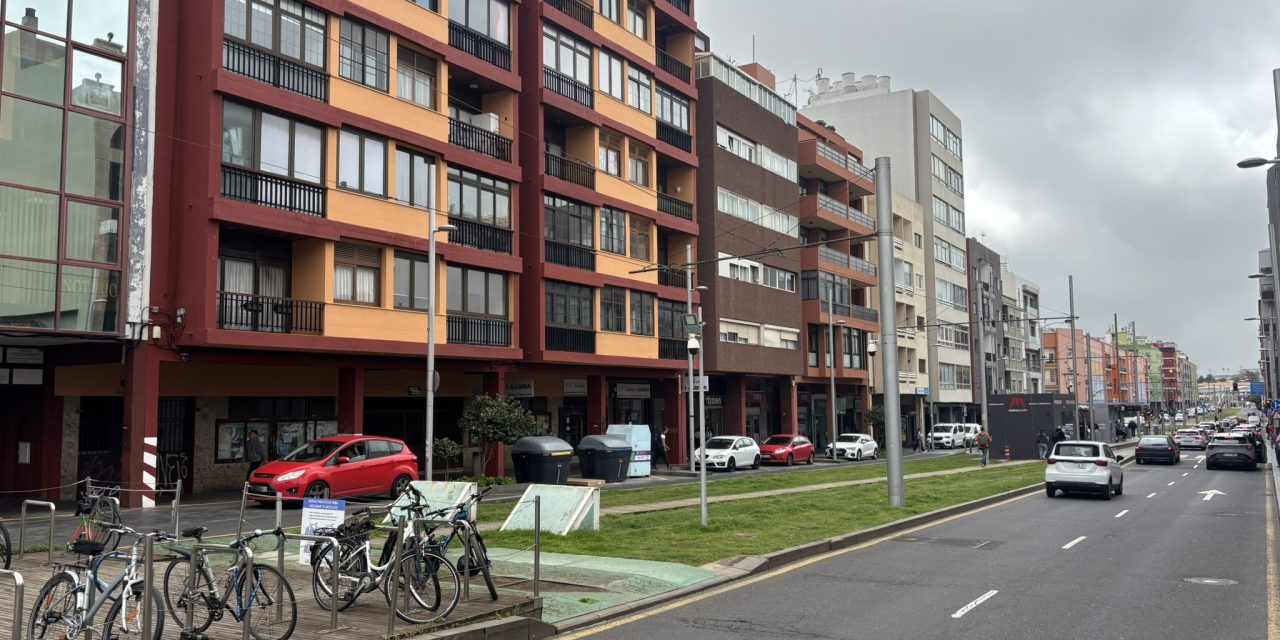 La Laguna programa para este verano el reacondicionamiento de la avenida de La Trinidad