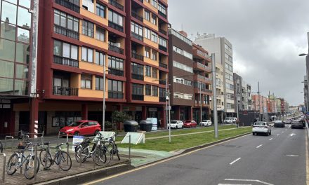 La Laguna programa para este verano el reacondicionamiento de la avenida de La Trinidad