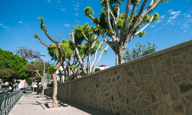 El Ayuntamiento concluye las obras de reforma de la plaza del barrio de La Candelaria y mejora su accesibilidad
