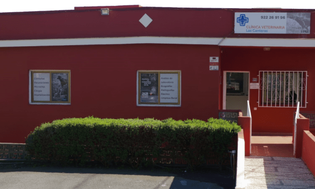 Una Clínica Veterinaria muy completa en el corazón de Las Canteras