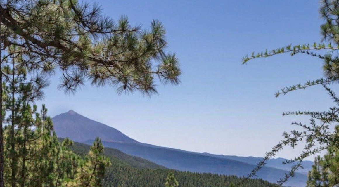 La Laguna presenta un campamento de verano dirigido a menores en exclusión social
