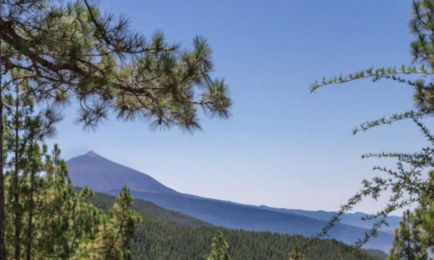 La Laguna presenta un campamento de verano dirigido a menores en exclusión social