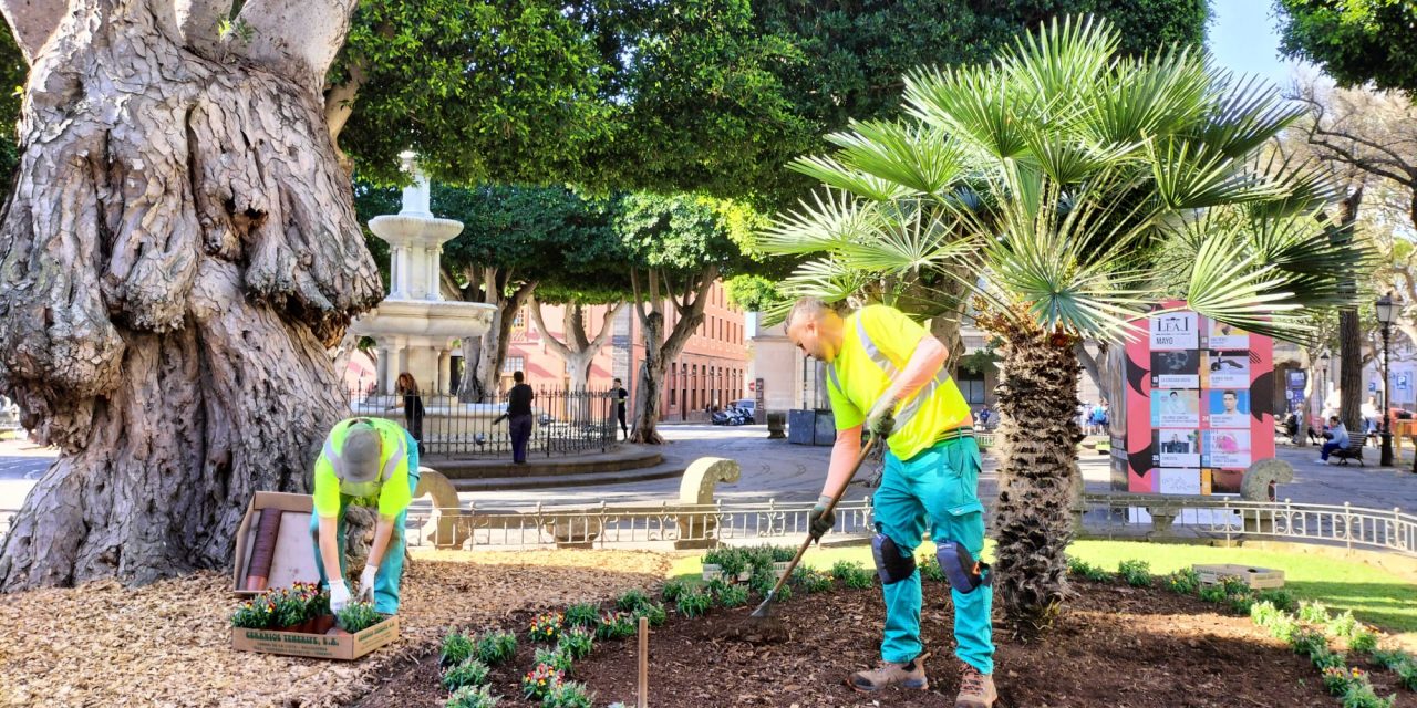 Más de 2.500 flores embellecerán esta primavera los parques y jardines del centro histórico de La Laguna
