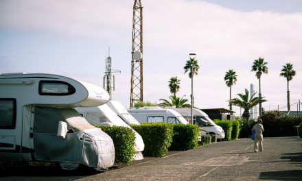 El camping lagunero de Punta del Hidalgo mejora sus instalaciones y estrena nuevos servicios