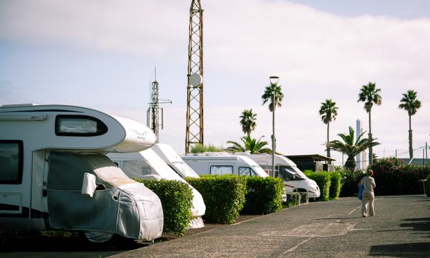 El camping lagunero de Punta del Hidalgo mejora sus instalaciones y estrena nuevos servicios