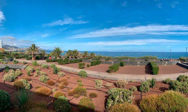 El Ayuntamiento restringe el acceso al ‘camping’ de Punta del Hidalgo para Semana Santa
