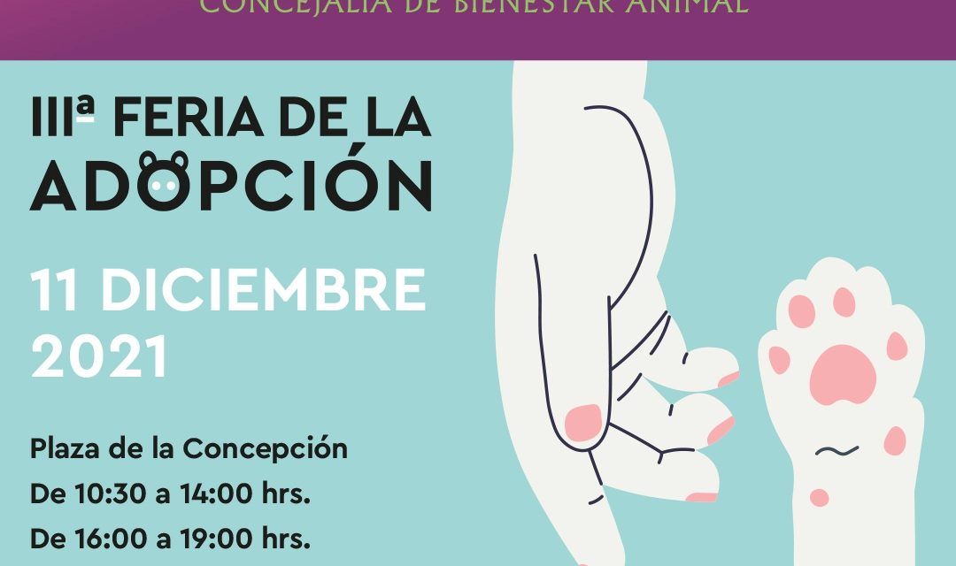 La III edición de la Feria de la Adopción de La Laguna regresa en formato presencial este sábado