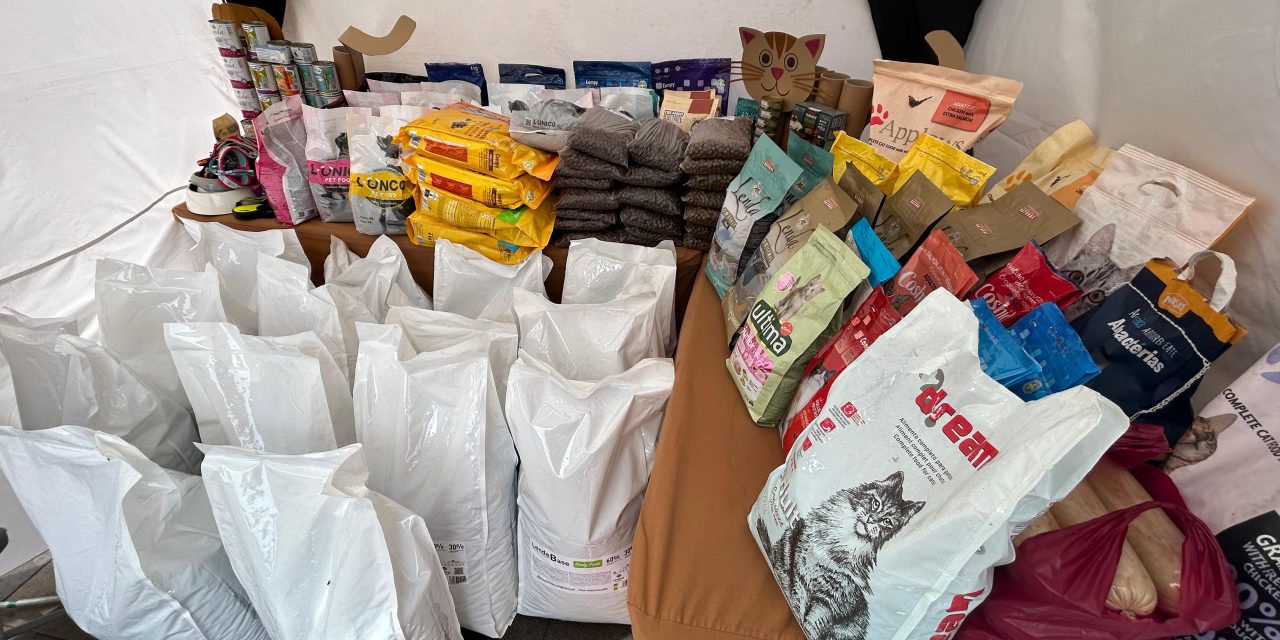 La Feria de la Adopción de La Laguna recauda 700 kilos de comida para las protectoras de animales