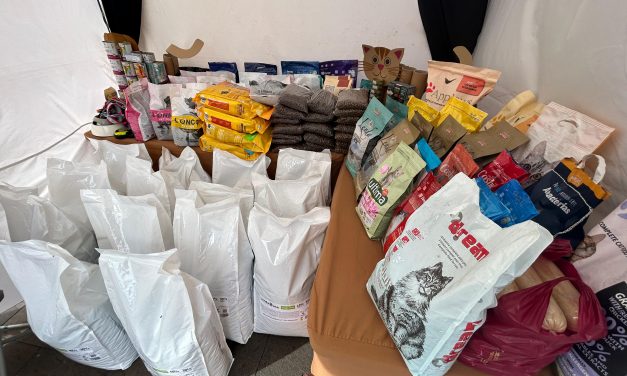 La Feria de la Adopción de La Laguna recauda 700 kilos de comida para las protectoras de animales