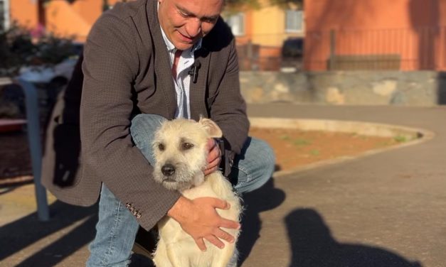 La Laguna suma un nuevo parque canino en el entorno de El Coromoto