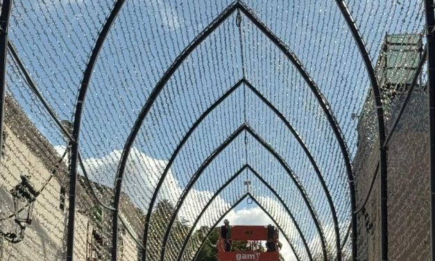 La Laguna ilumina su Navidad con un modelo propio que ahorrará cerca de dos millones de euros