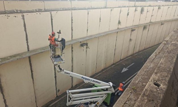 La Laguna aborda la limpieza de grafitis en el túnel de Finca España