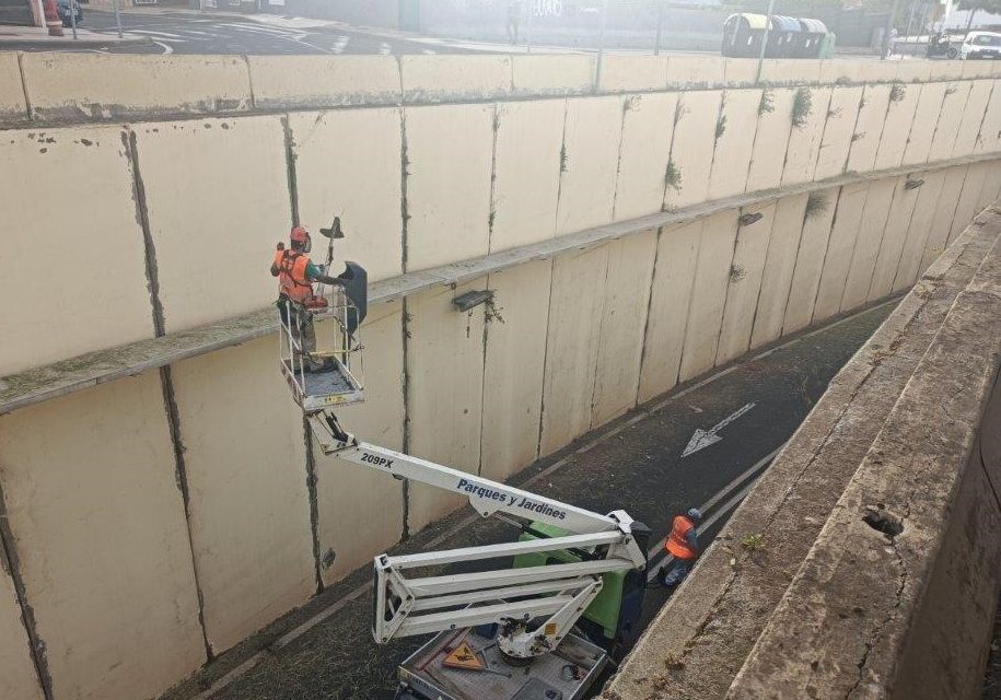 La Laguna aborda la limpieza de grafitis en el túnel de Finca España