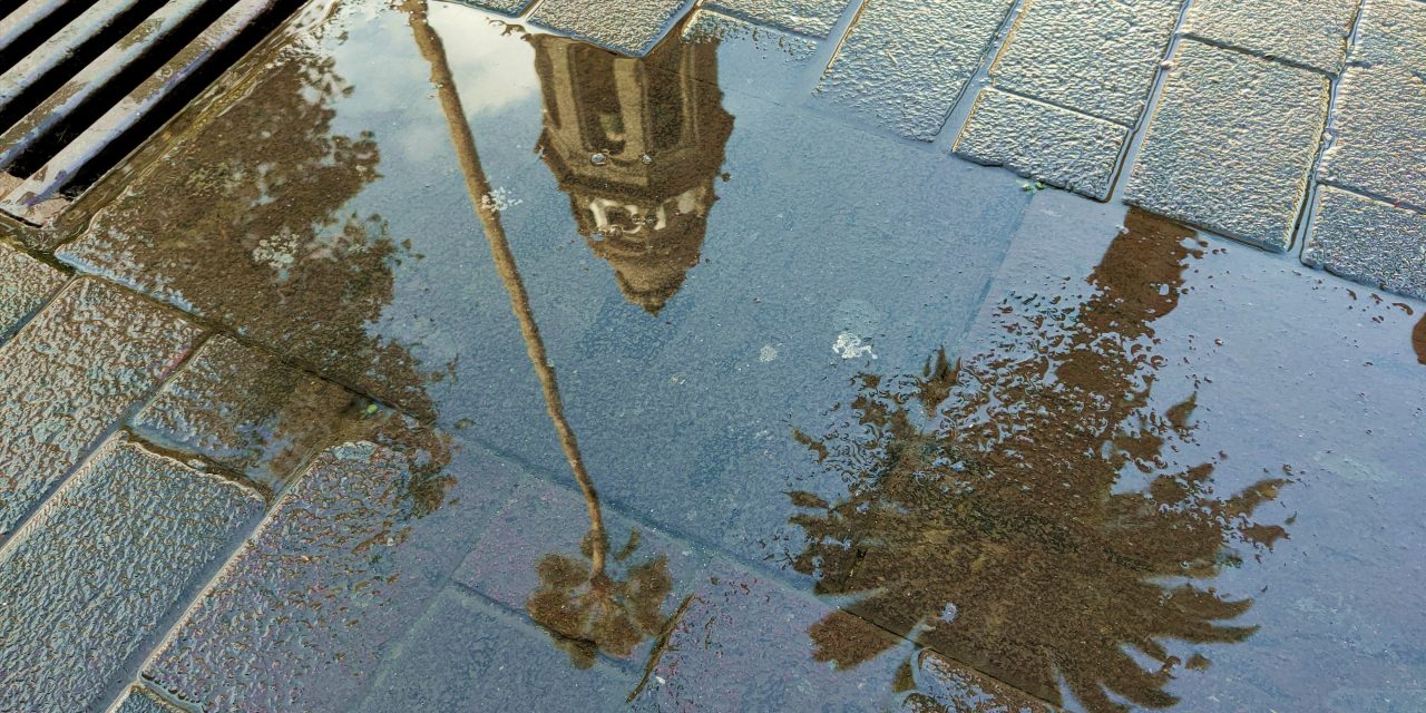 Teidagua organiza un concurso fotográfico enfocado en la importancia del agua y su preservación