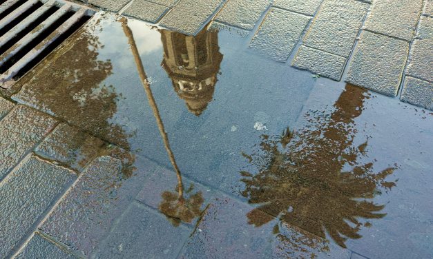 Teidagua organiza un concurso fotográfico enfocado en la importancia del agua y su preservación