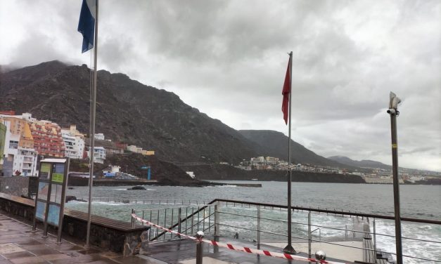 Incidencias en el municipio de La Laguna por la tormenta tropical Hermine.