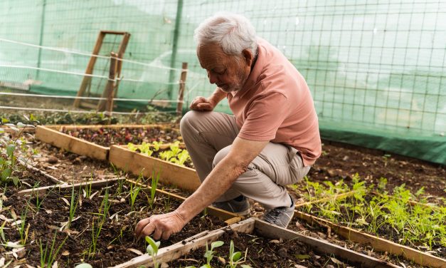 Mayores y vecinos de Finca España se unen para convertir un solar abandonado en la primera huerta comunitaria del barrio lagunero