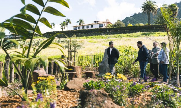 La Laguna formaliza el contrato del nuevo servicio de Parques y Jardines por 13,4 millones de euros