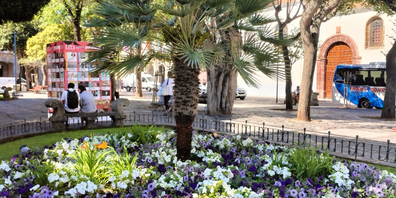 Servicios Municipales viste de flores la ciudad para celebrar las Fiestas del Cristo y dar la bienvenida al otoño