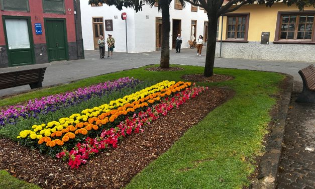 Servicios Municipales viste con los colores del orgullo LGBTI los jardines de La Concepción