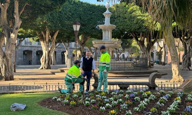 El Ayuntamiento embellece los jardines del centro histórico con más de 2.700 flores de temporada