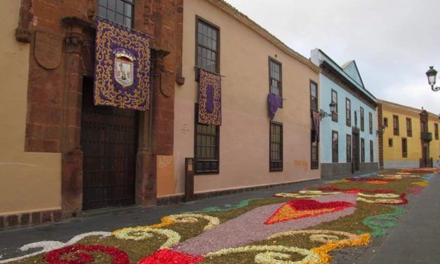 La Laguna apuesta por recuperar la tradición de los tapices florales en la festividad del Corpus Christi