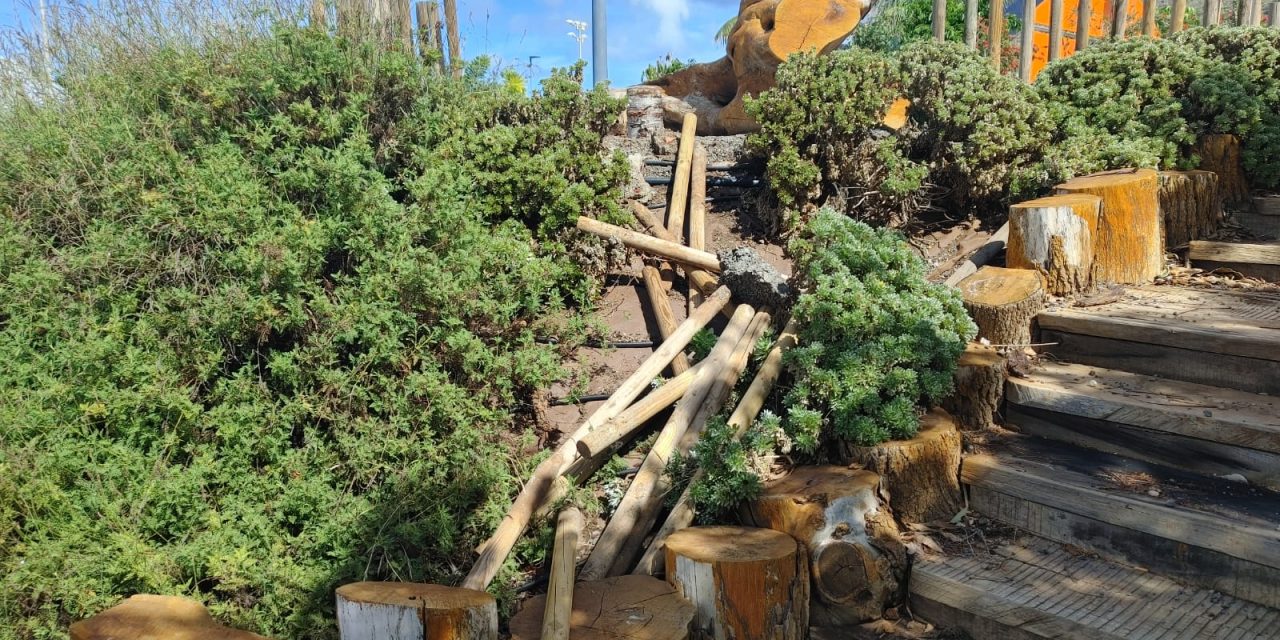 El Ayuntamiento de La Laguna condena los actos vandálicos en el parque de La Majada
