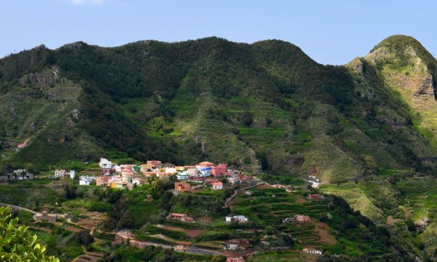 Las rutas ‘Montañas de Anaga’ proponen un recorrido por la riqueza natural de Chinamada, El Batán y Las Carboneras