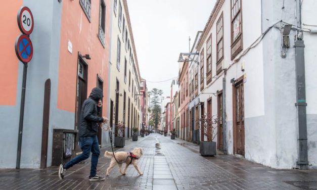 La Laguna activará hoy miércoles el CECOPAL para actuar ante cualquier incidencia del temporal
