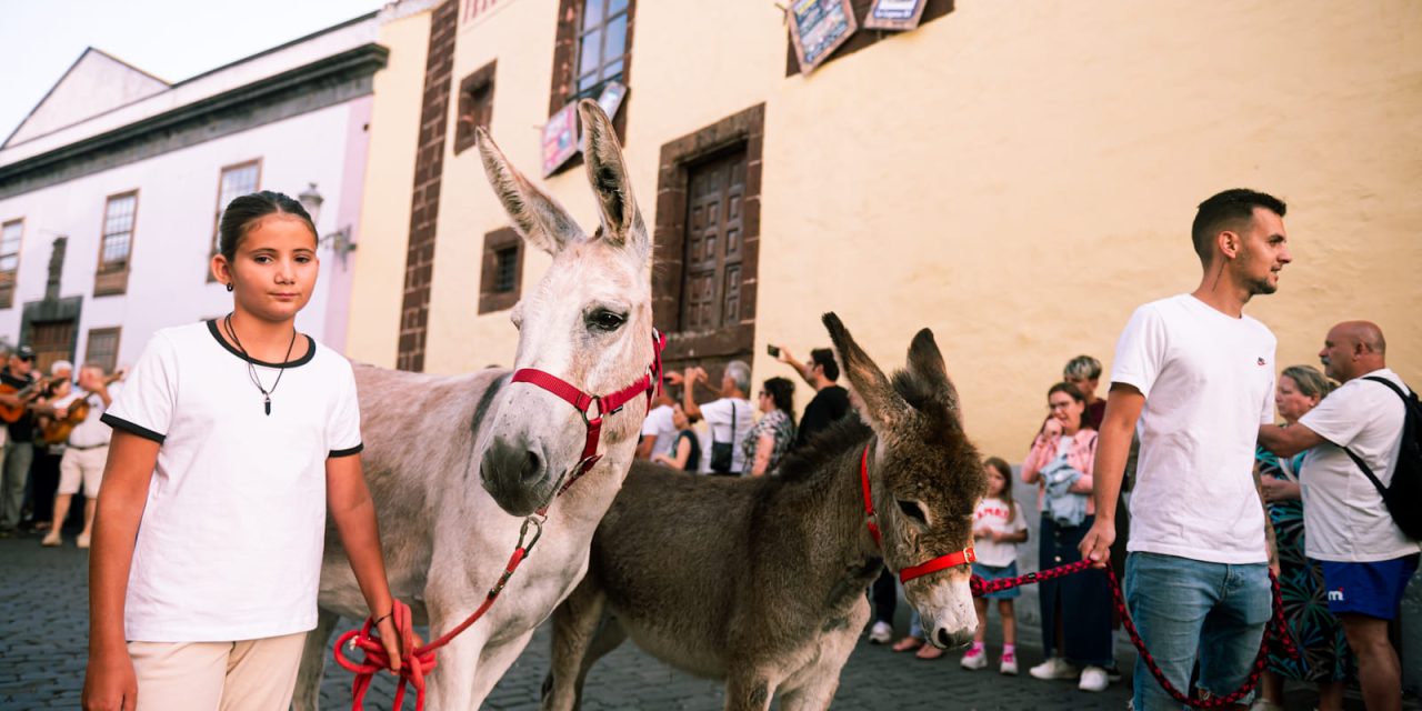 La Laguna celebra hoy la XIX edición de la Noche de los Burros