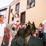 La Laguna homenajea este jueves al presa canario en una nueva edición de la Noche de los Burros