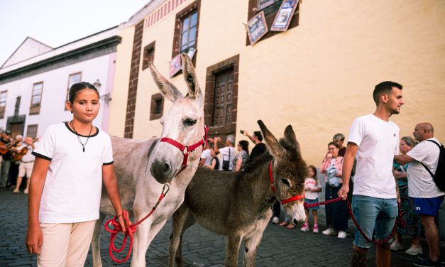 La Laguna homenajea este jueves al presa canario en una nueva edición de la Noche de los Burros
