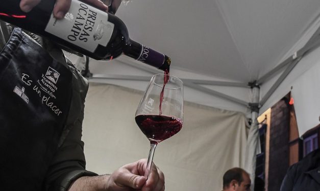 La Noche en Tinto ofrecerá en La Concepción vinos de trece bodegas de la comarca Tacoronte-Acentejo