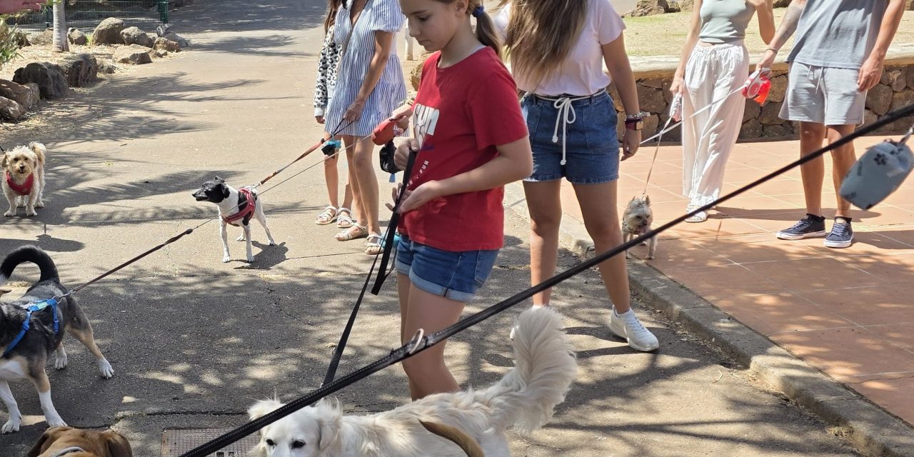 La Laguna amplía sus espacios para animales con la apertura de un nuevo parque canino en la urbanización César Manrique