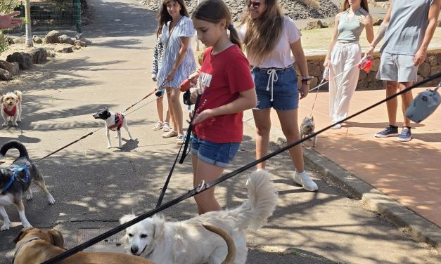 La Laguna amplía sus espacios para animales con la apertura de un nuevo parque canino en la urbanización César Manrique