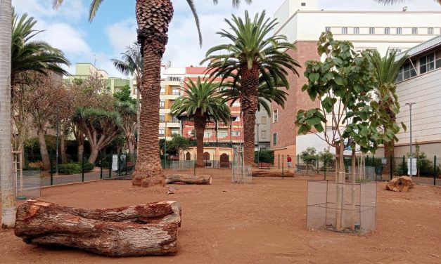El Ayuntamiento finaliza las obras de mejora del área canina del parque de los Dragos