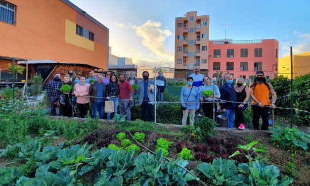 El huerto urbano de San Matías se incorpora a la Red Municipal de Huertas Comunitarias de La Laguna