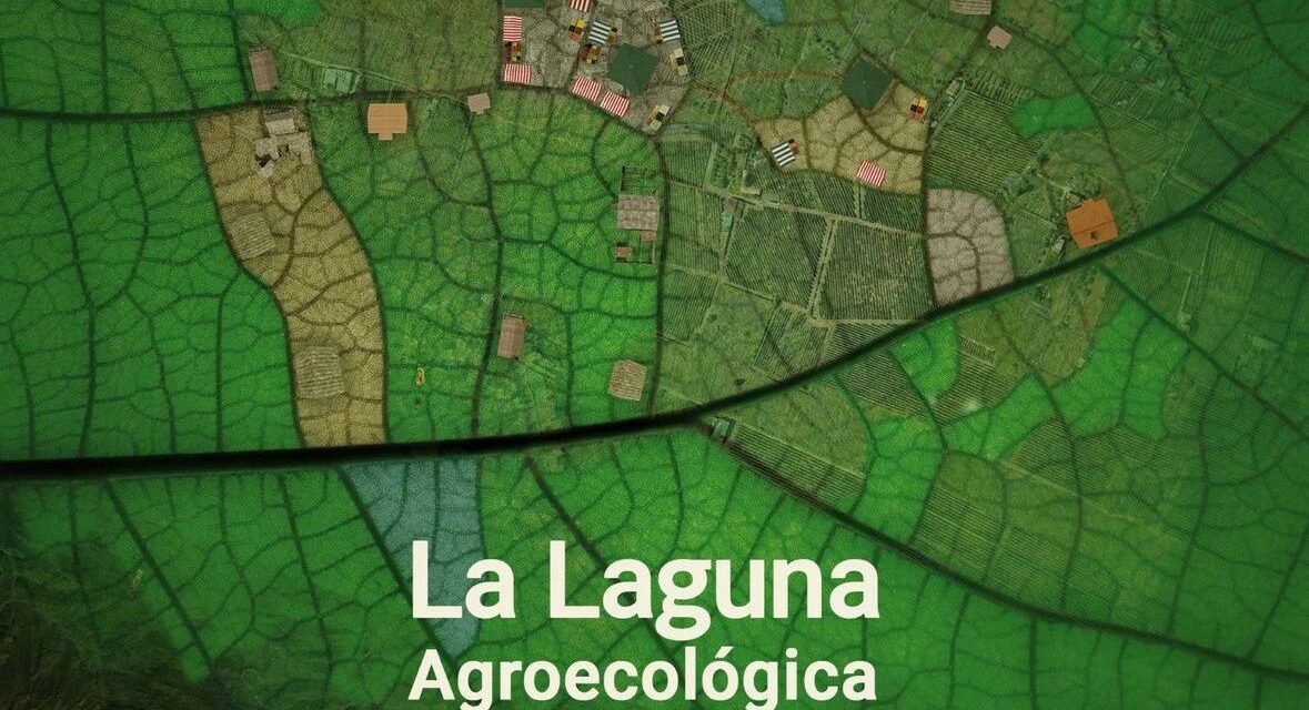 Nace la I Feria Agroecológica de La Laguna con el objetivo de promover modelos de agricultura ecológica y formas sostenibles de cultivo