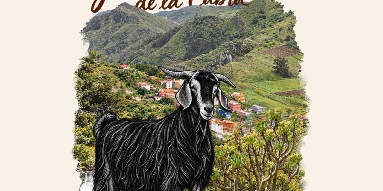 La Ruta de la Cabra lagunera combina un año más producción local y el talento culinario de la Comarca Nordeste
