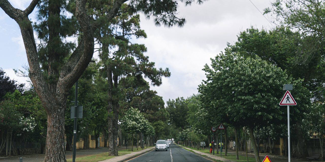 El Ayuntamiento reasfalta el último tramo del Camino Las Peras y continúa con la mejora de la red viaria municipal