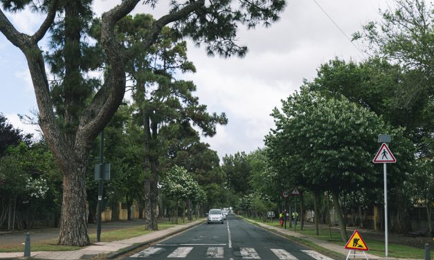El Ayuntamiento reasfalta el último tramo del Camino Las Peras y continúa con la mejora de la red viaria municipal