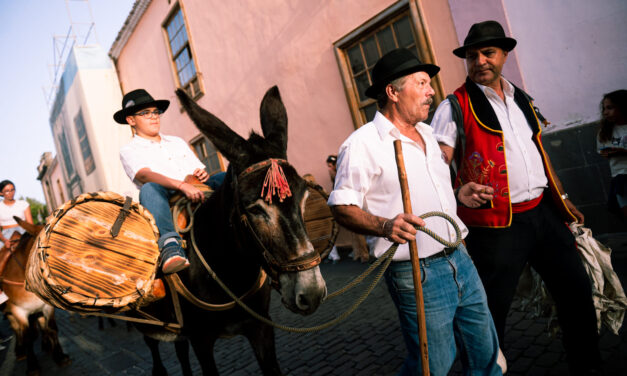 La Romería Chica de San Benito recorre las calles del casco lagunero y homenajea la figura del burro
