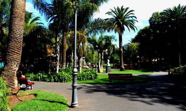 El Ayuntamiento da vía libre a la construcción de nuevos parques caninos en el municipio